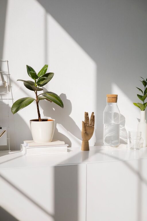 Tips for Creating a Cozy and Inviting Home Environment on a Budget